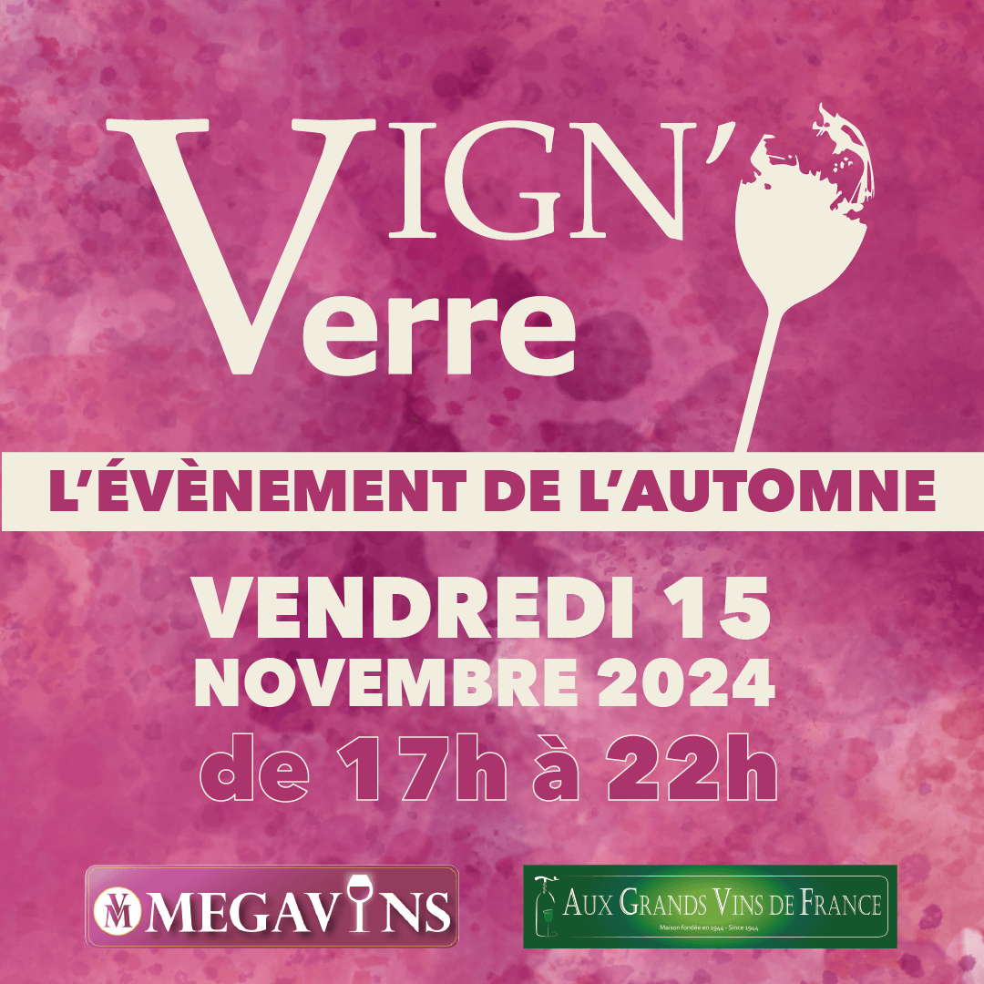 MEGAVINS - VIGNO - événement - visuel Facebook & Insta